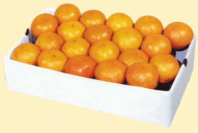 17. 1/5 bu. Mandarin Orange