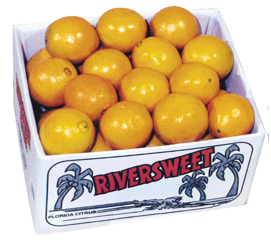 4. 2/5 Navel Oranges